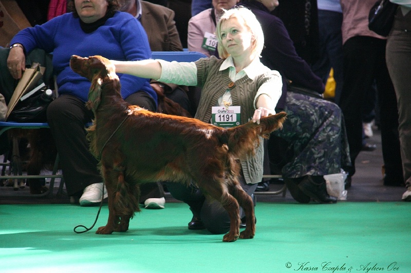 Crufts2011 666.jpg